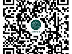 呼吁！上海报恩寺10000只流浪毛孩面临断粮危机
